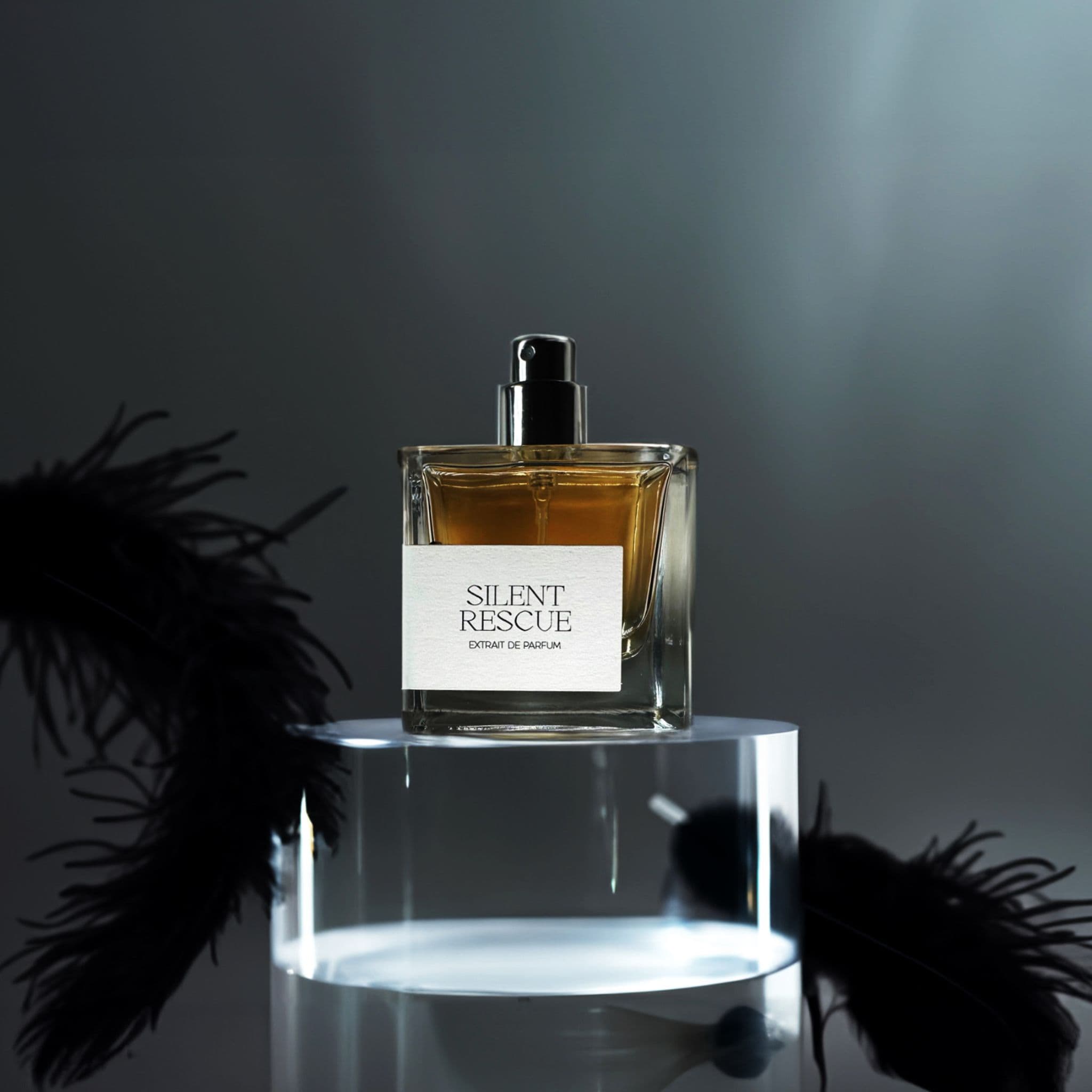 All About Silent Rescue - Day Three Fragrances