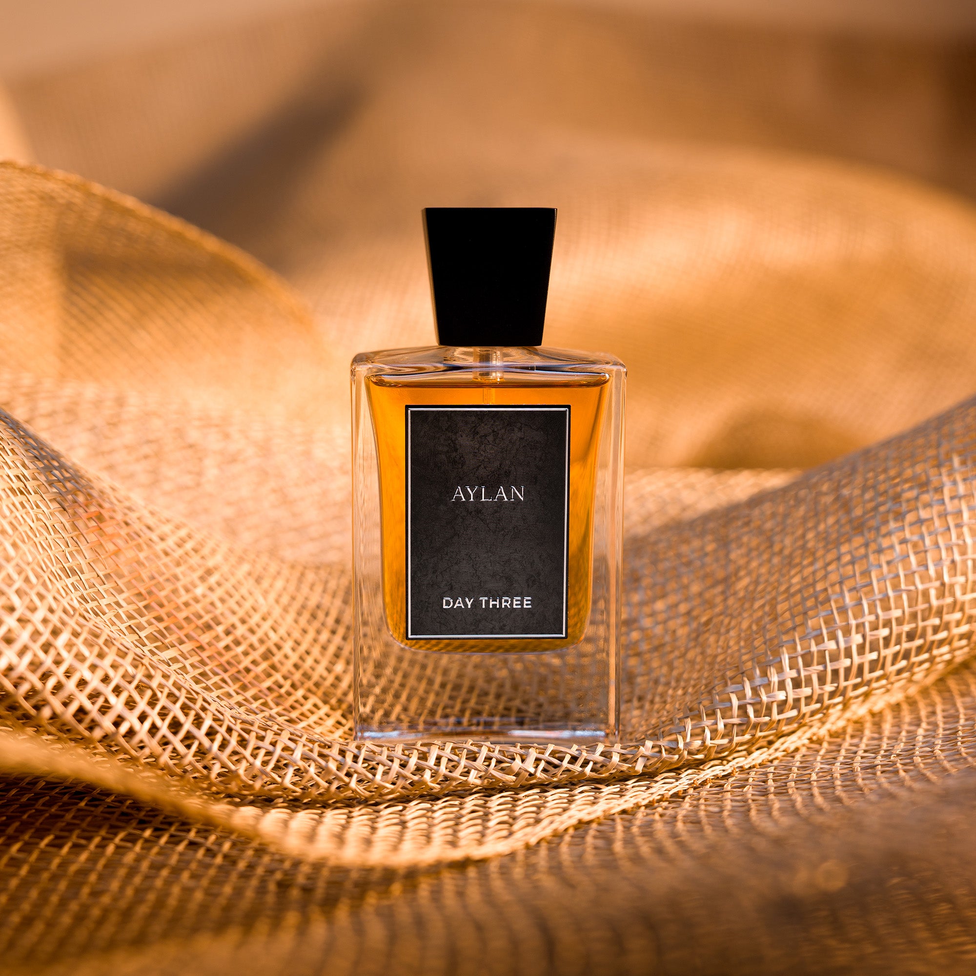 Fall & Winter Fragrances | Day Three Fragrances