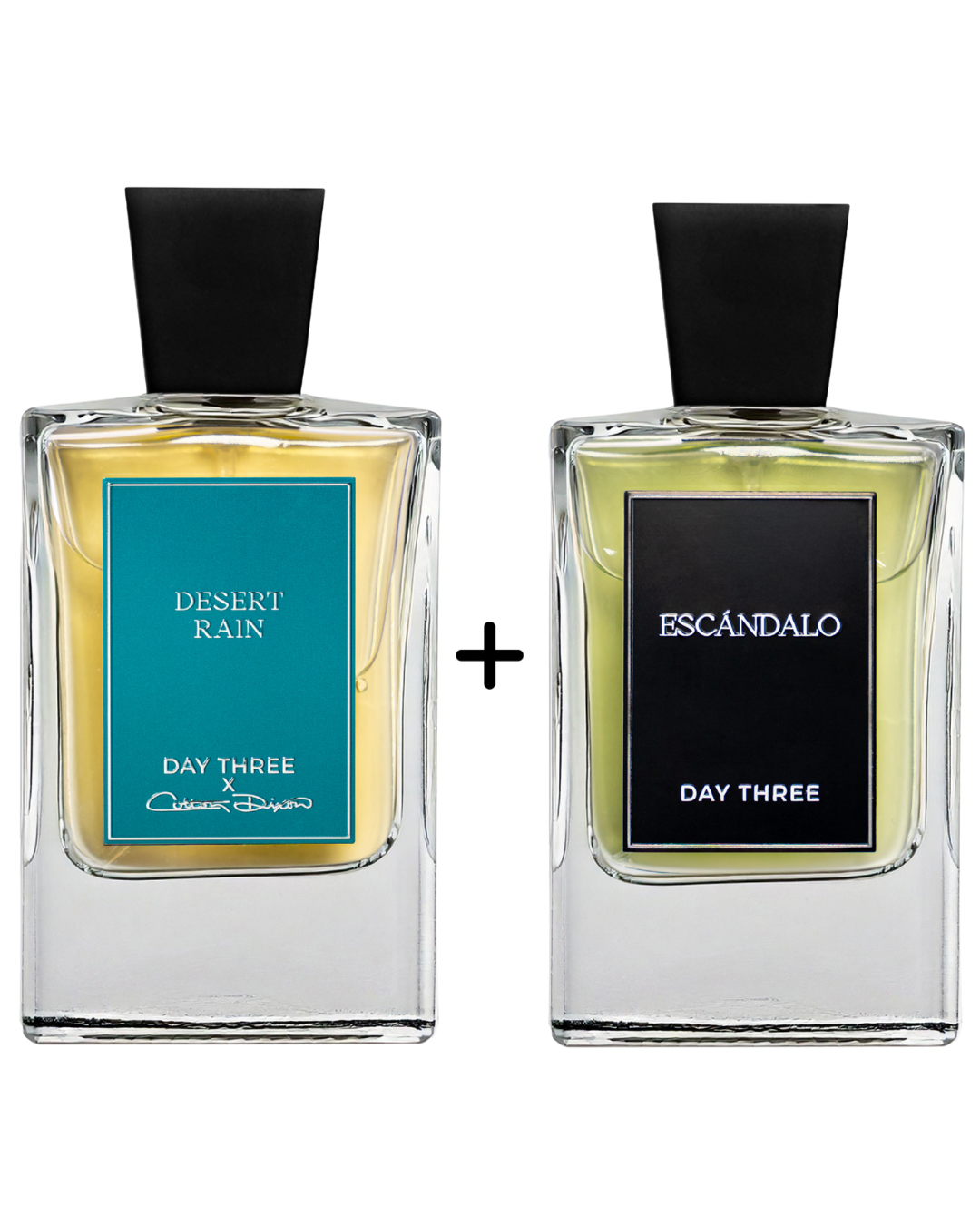 SAMPLES of Desert Rain + Escandalo
